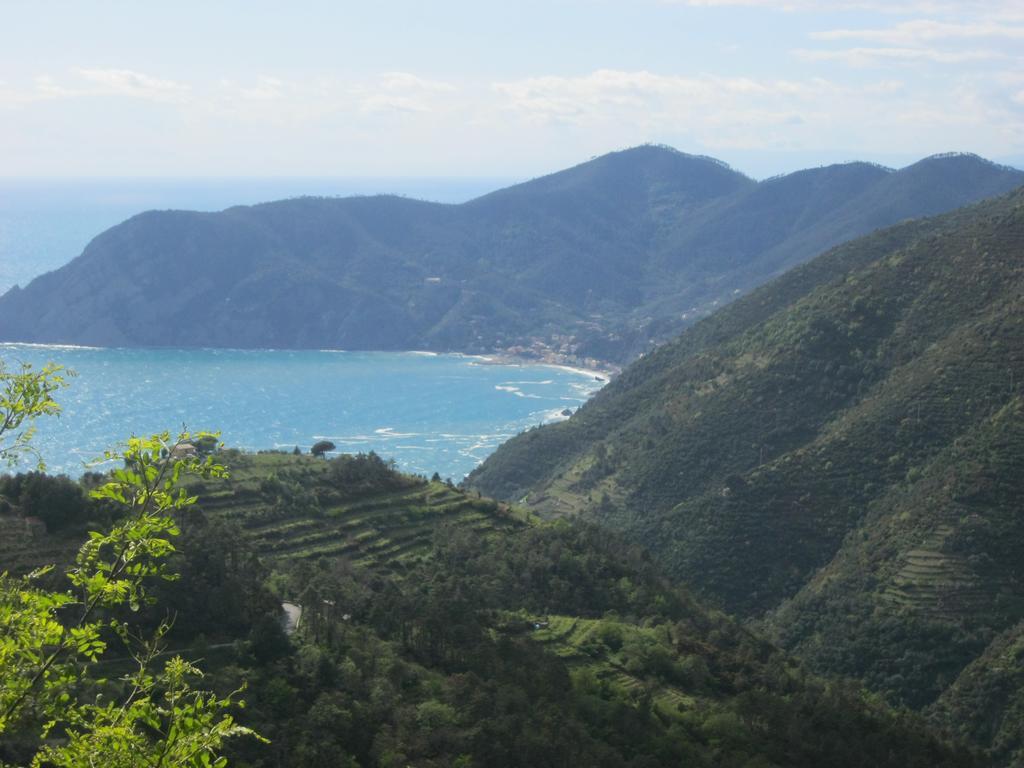 La Casa Di Marisa Daire La Spezia Dış mekan fotoğraf